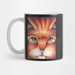 Orange and Brown Cat Mug